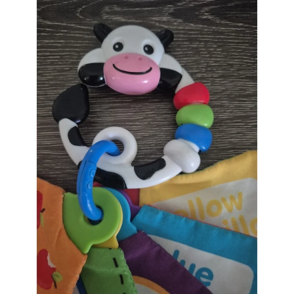 BABY EINSTEIN Take Along Discovery Cards Clip-on 10 Images Crinkle Teether Toy.